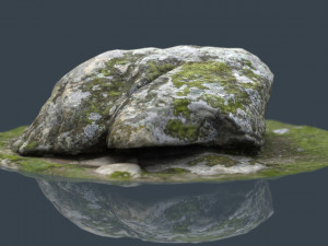 rock 38 3D Model
