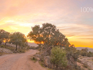 hdr rural dirt road at sunset CG Textures