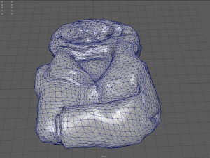 antarctic jacket Model 3D