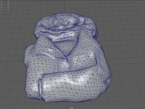 antarctic jacket 3D Model