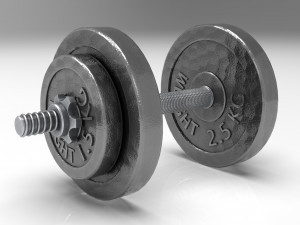 dumbbell Modello 3D
