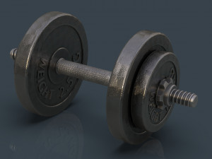 dumbbell Modello 3D