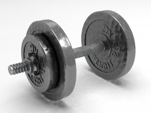 dumbbell Modello 3D