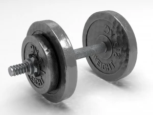 dumbbell 3D Model