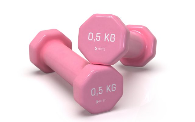 plastic dumbbells 05 kg 3D मॉडल .c4d .max .obj .3ds .fbx .stl .blend 