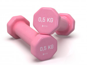 plastic dumbbells 05 kg 3D Model