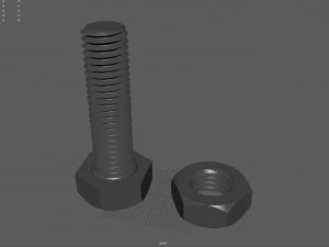 of screw and nut 3D Model