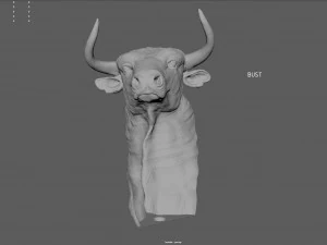 spanish fighting bull bust 3d print model 3D Print Model