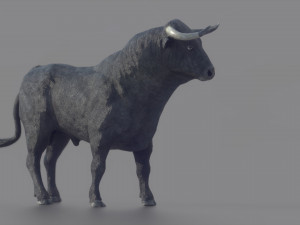 spanish fighting bull 3D Model