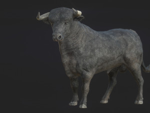 spanish fighting bull Modèle 3D