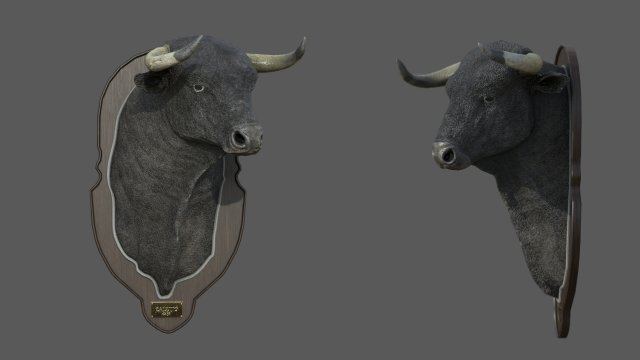 spanish bull head trophy Modello 3D .c4d .max .obj .3ds .fbx .stl .blend 