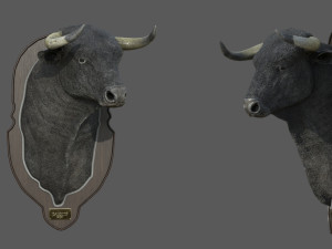 spanish bull head trophy 3D Model