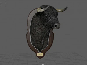 spanish bull head trophy 3D Model