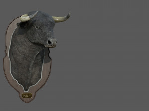 spanish bull head trophy Modello 3D