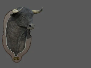 spanish bull head trophy 3D Model