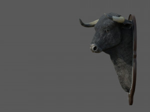 spanish bull head trophy Modello 3D