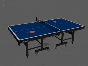 ping pong table 3D Model