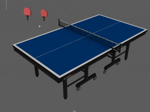 ping pong table 3D Model
