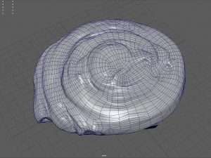 spiral raisin danish 3D Model