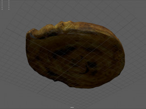 spiral raisin danish 3Dモデル