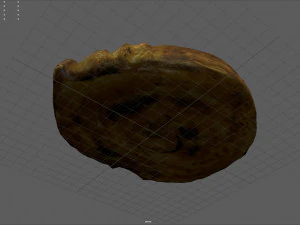 spiral raisin danish 3D Model