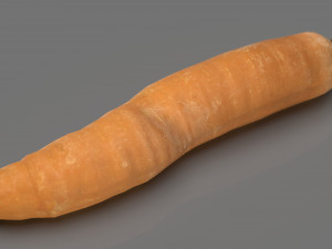 carrot 3D Models