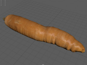 carrot 3D Модель