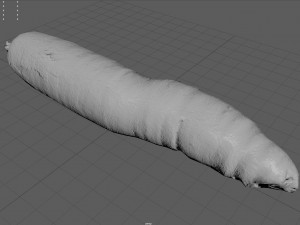 carrot 3D Модель