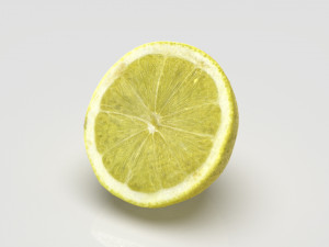 lemon half 3D Model