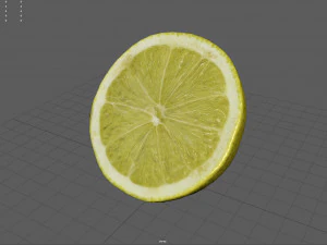 met&agrave; del limone Modello 3D