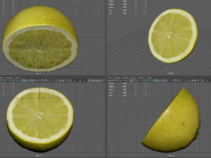met&agrave; del limone Modello 3D