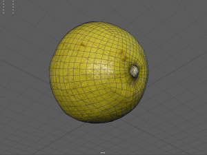lemon half 3D Model