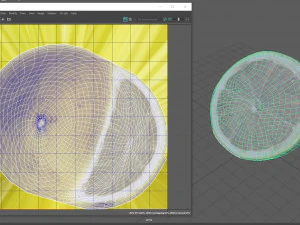 met&agrave; del limone Modello 3D