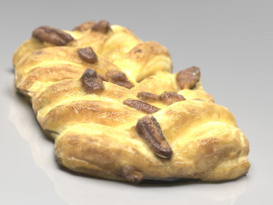 raisin braid Model 3D
