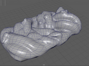 raisin braid Model 3D