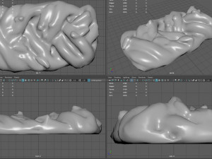 raisin braid Model 3D