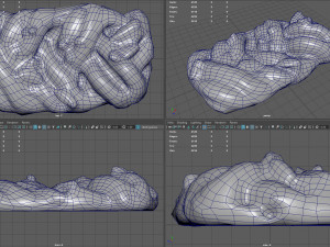 raisin braid Model 3D