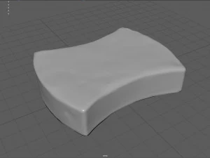 scourer 3D Model