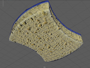 scourer 3D मॉडल