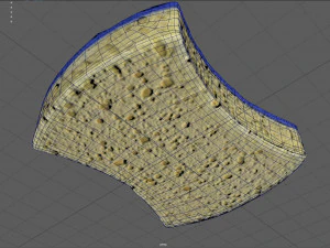 scourer 3D Model