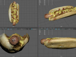 hot dog with mustard 3D Model