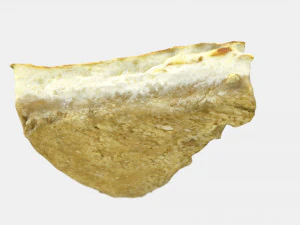 torta di formaggio Modello 3D