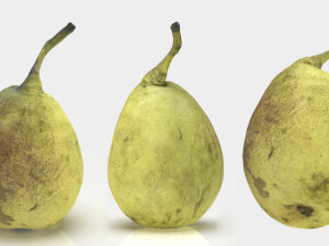 conference pear 3D Model