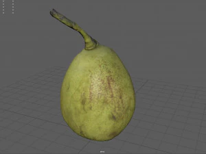 conference pear 3D Model