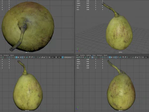 conference pear 3D Model