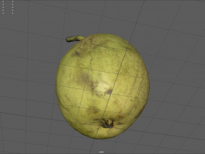 conference pear Modello 3D