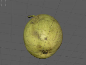 conference pear 3D Model
