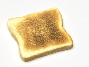 toast 3D Model