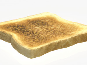toast Model 3D