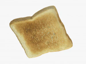 toast 3D Model